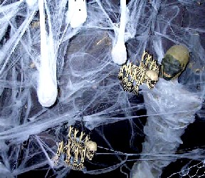 Over Top of the Spider Haunt - Looking Right