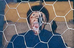 Bob Being Pecked by a Bird