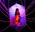 String Monster Haunt