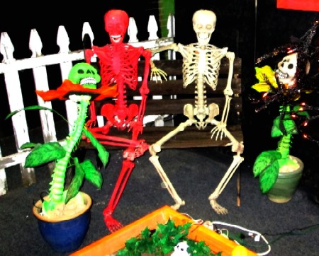 The Skeleton Flowers in the Haunt