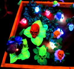 Large Plants in the Skeleton Garden