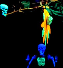 The Skull Behind the Girl on a Swing