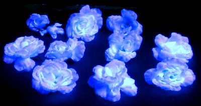 Small Skeleton Flower Roses in Black Light
