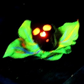 The Flicker Bulb Skull