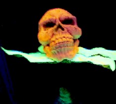 The Red Flower Skull