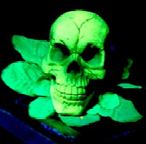 The Yellow Cabbage Skull