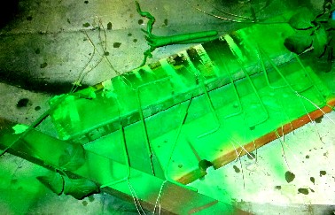 Painted Small Skeleton Flower Stems