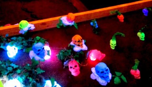 A Partial View of the Skeleton Garden