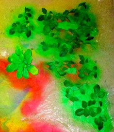 Small Skeleton Flower Painted Leaves