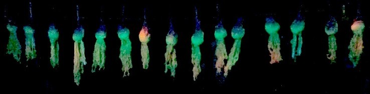 The Skeleton Garden Spout Tops Painted