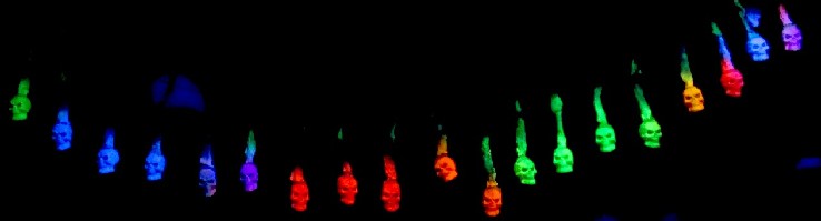 The Skeleton Garden Sprouts in the Black Light