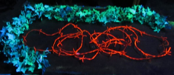 Vine and Barbs in Black Light