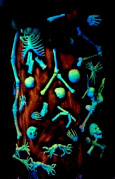 Skeleton Tree Black Lit With Orange 2