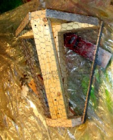 Skeleton Tree Branch Chickenwired