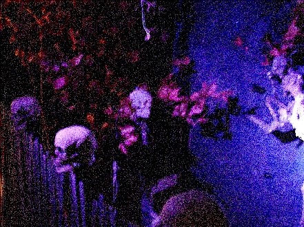 The Skeleton in Black Light