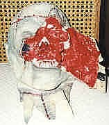 Face Off - the first HEDZ