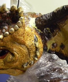 Brain Gremlin Ear Repair Side