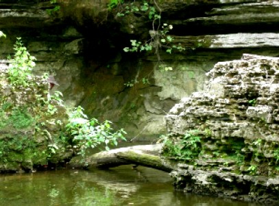 Michael pops up on roll-over