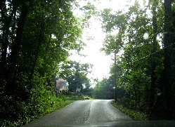 Road in front of John Work House