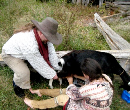 Michael holding the goat's hind legs