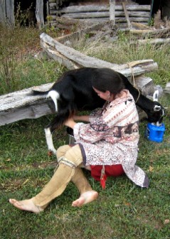 Andrea milking Lilly 1