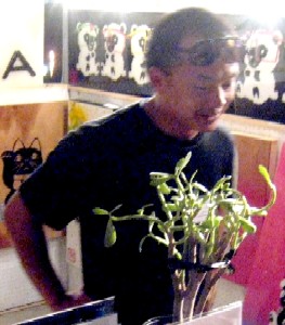 Feng Shui Contemporary Artist