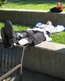 Red Feather Fischer sleeping all day