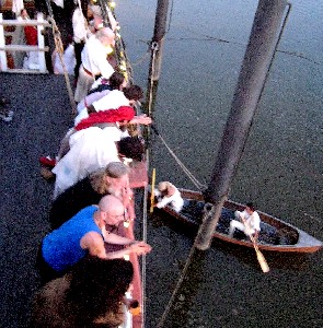 The crowd watches at the rail as Billie searches
