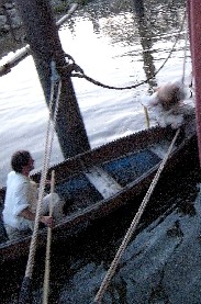 Billie searching from the prow of the scow