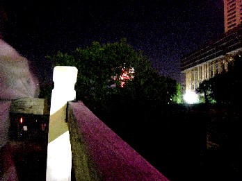 The fireworks behind a tree