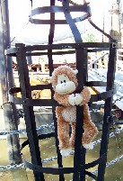 Flapjack in the gibbet