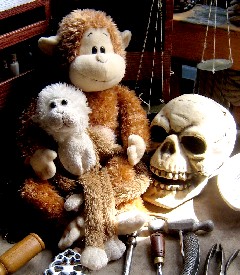 Flapjack and Lob on Surgeon's Table