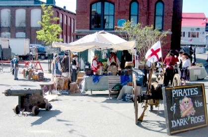 The Pirates of the Dark Rose Display
