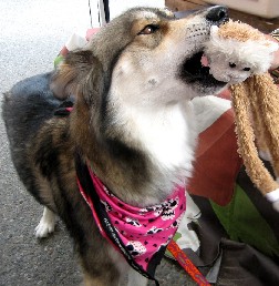 Lob Interviews Kita in Mouth