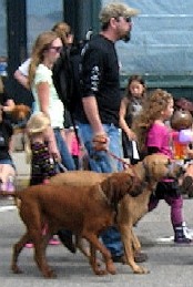 Hanging with the Pack