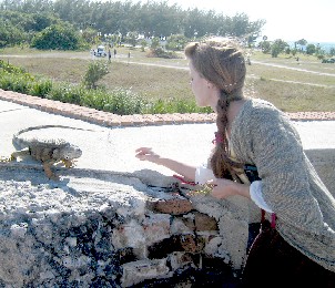 Mae feeding
the iguana 1