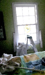 Python vs. Gator - no winner