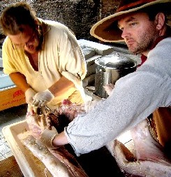 Bartleby Boom Slicing the Pig With Mission 2