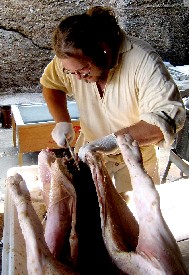 Bartleby Makes the First Cut