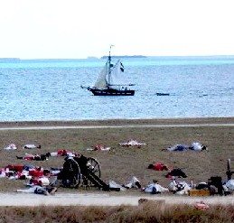 Owl Finishing Battle