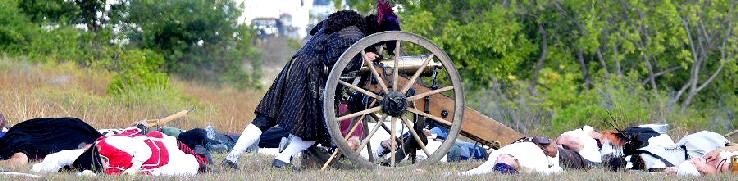 Viceroy on the Cannon