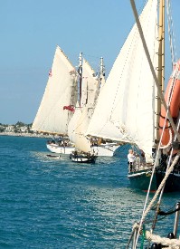 A Confluence of Ships