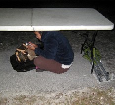 Sansanee Under the Table