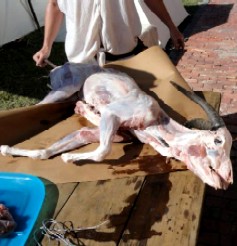 Preparing the Raw Goat