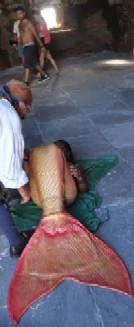 The Way to Put on a Mermaid Tail 1