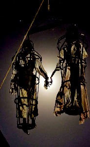 Bucky & Becky in the Moonlight