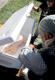 Captain Jim and the Frozen Pig