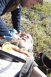 Mission Saving Nobudy