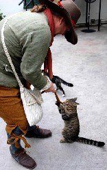 Micheal Playing with Hemingway Cat