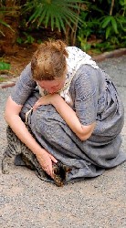 Hemingway House Cat Jess